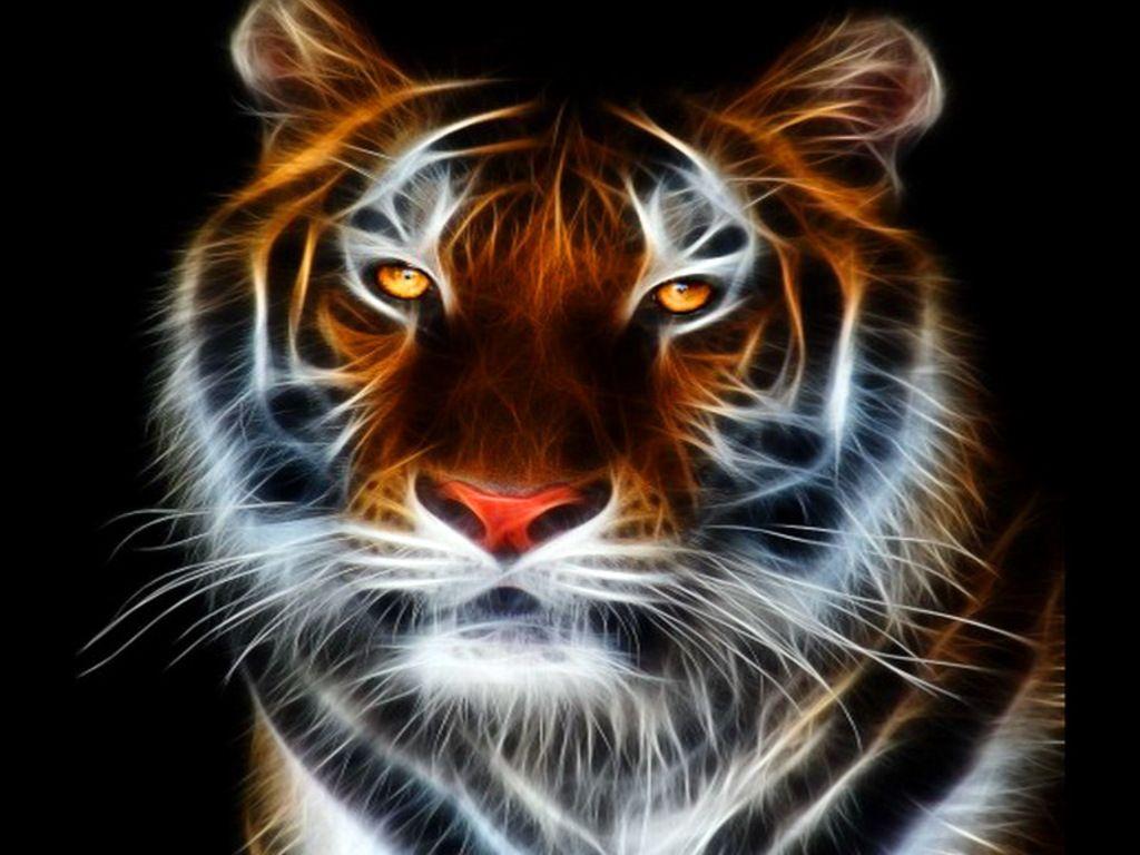 tiger wallpaper free Search Engine
