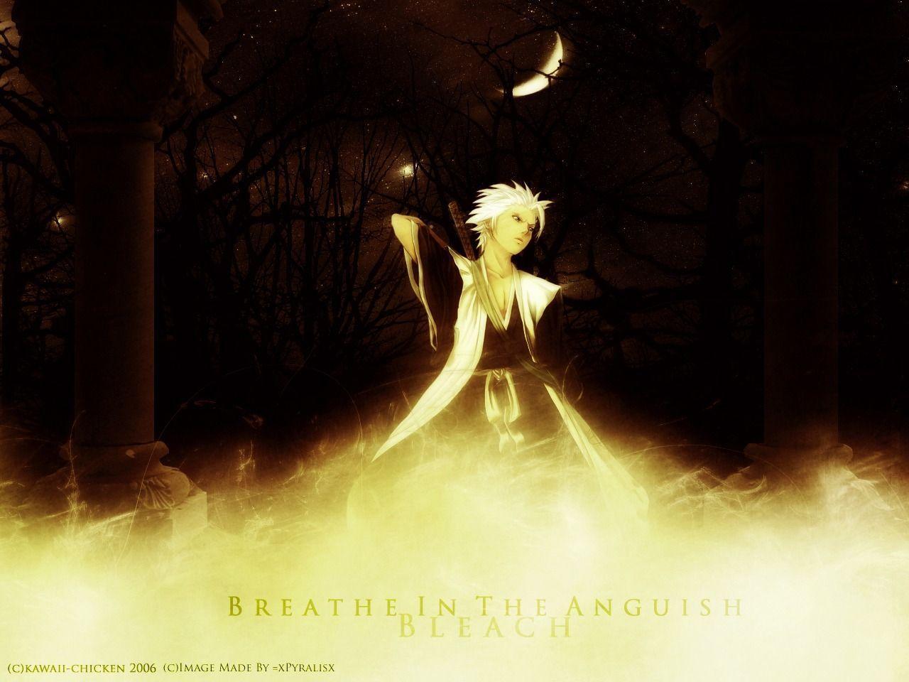 Bleach Hitsugaya Toshirou Wallpaper