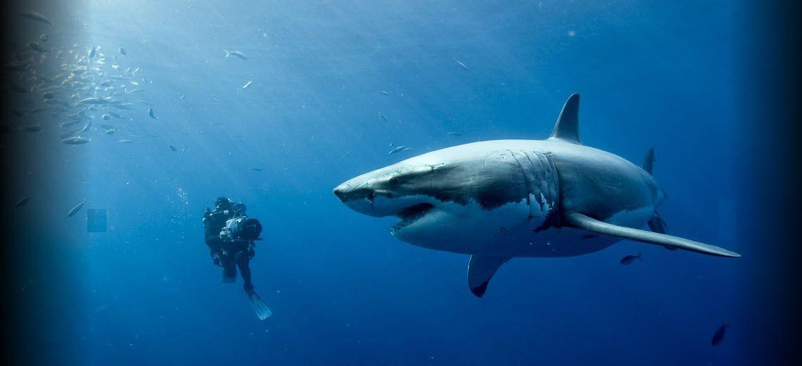 oceans postcard, oceans wallpaper, oceans picture