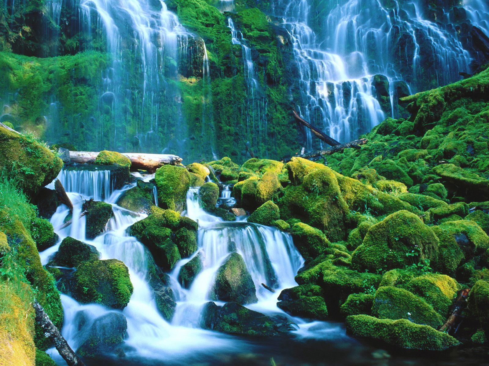 Willamette national park waterfalls free desktop background