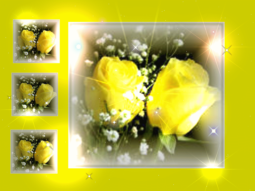 Flowers For > Yellow Rose Background