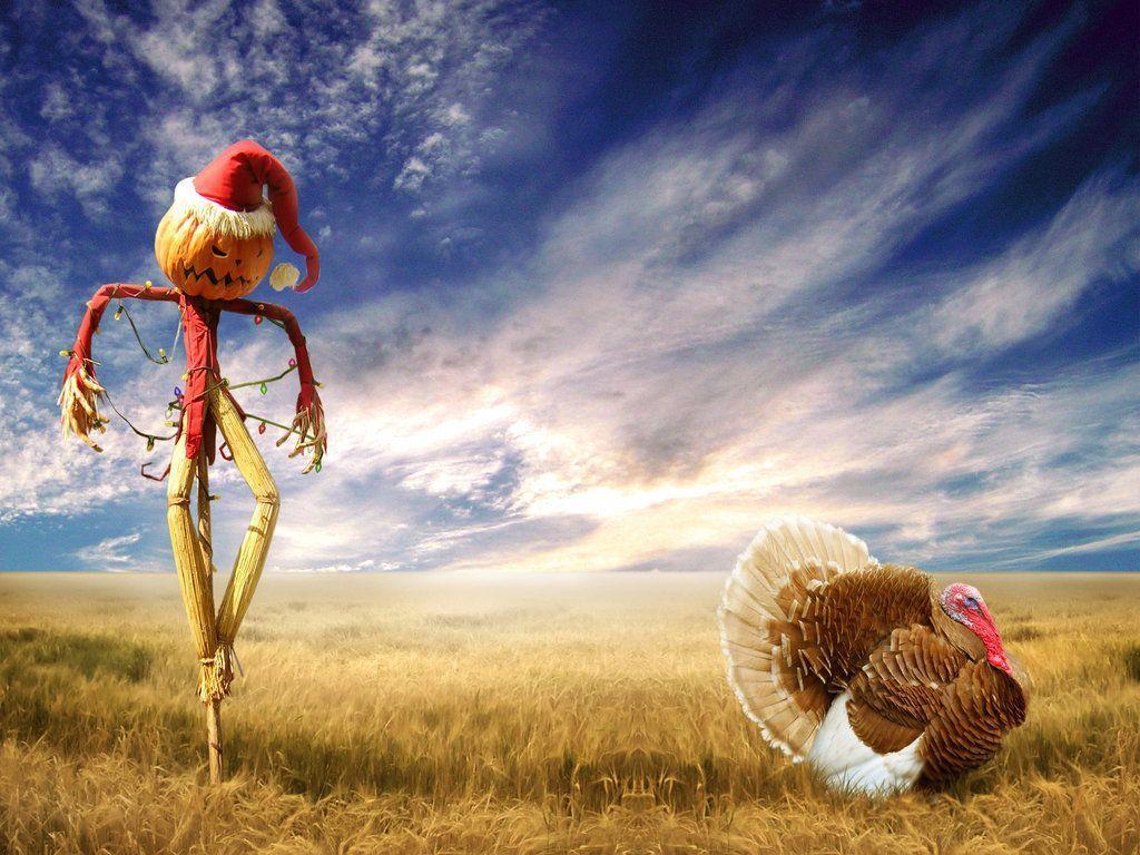 Funny Christmas Scarecrow Wallpapers