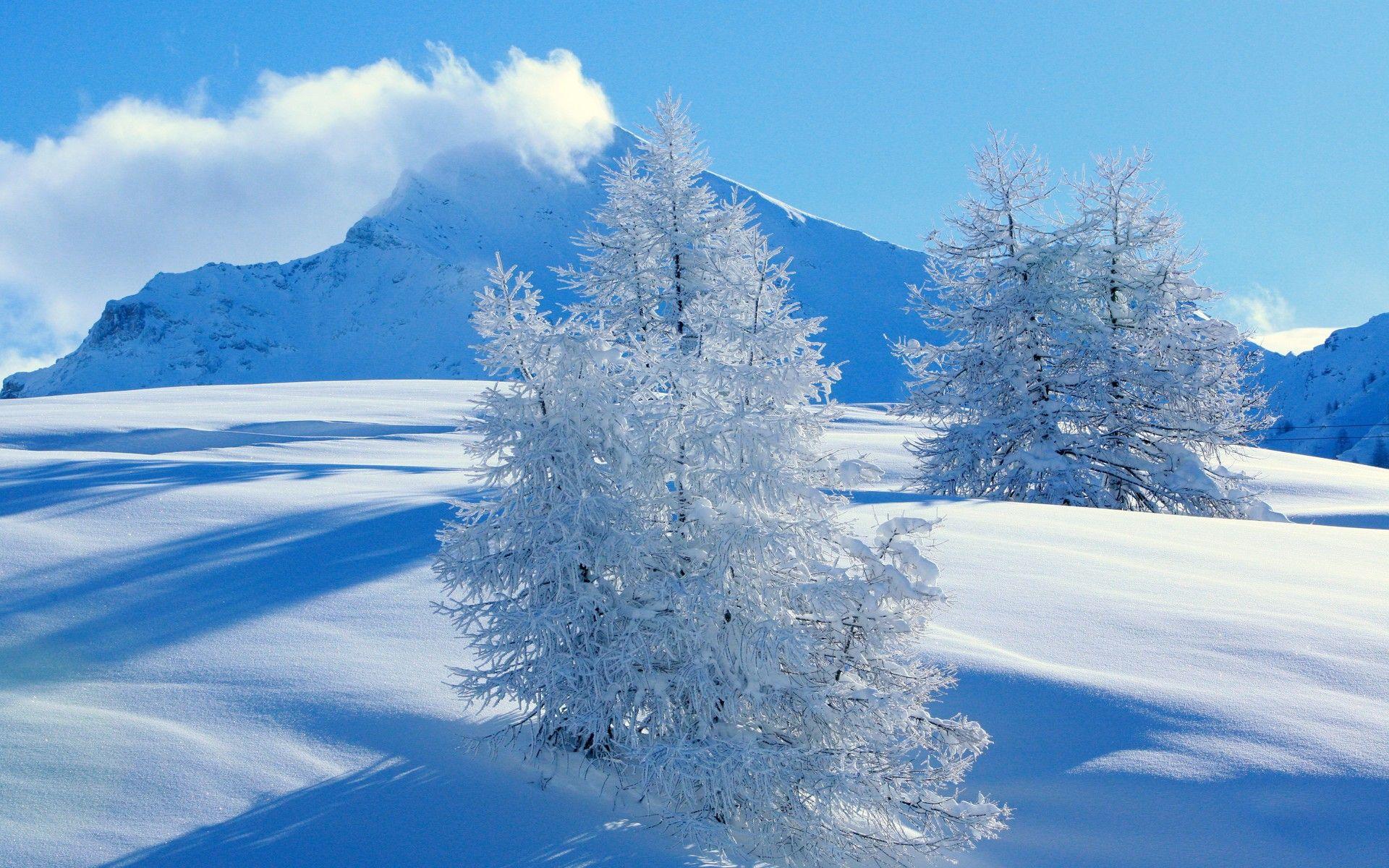 Download HD Snow Landscape Wallpaper Free By Warnerboutique