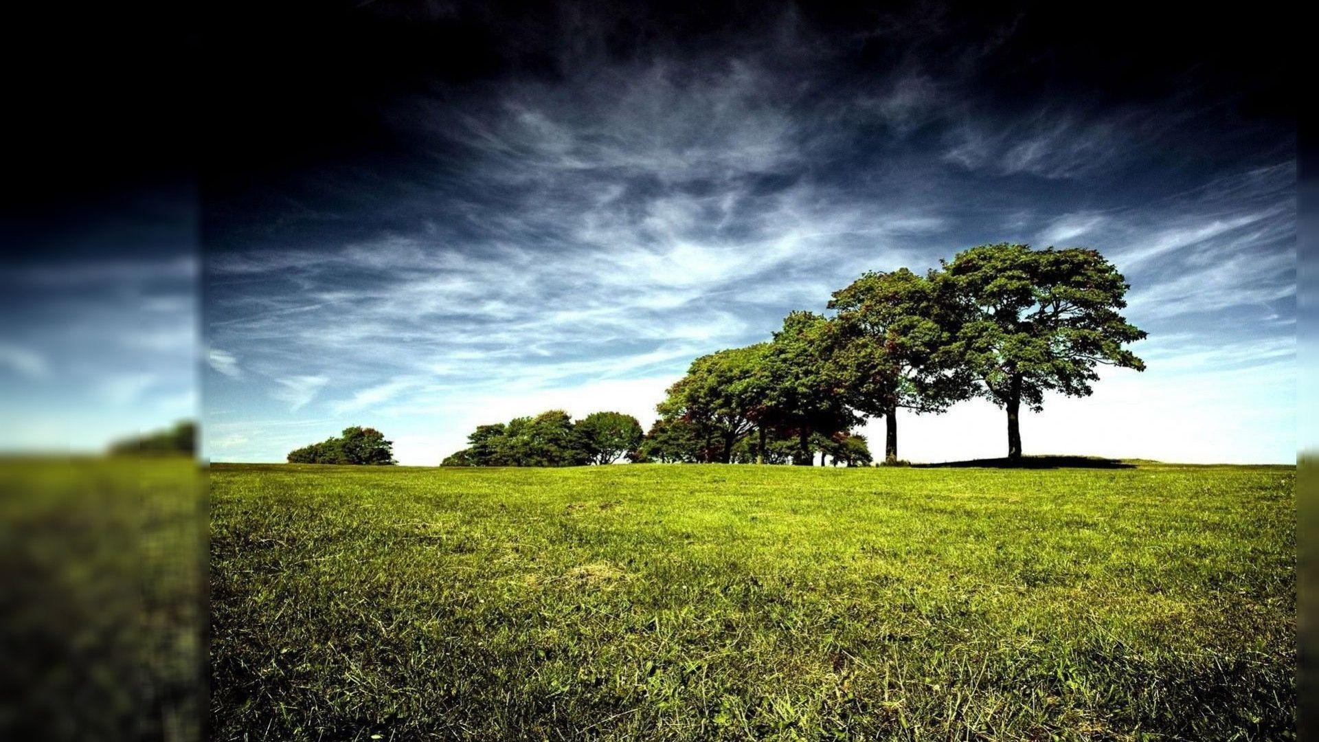 Nature Wallpaper Desk 39387 Image HD Wallpaper. Wallfoy.com