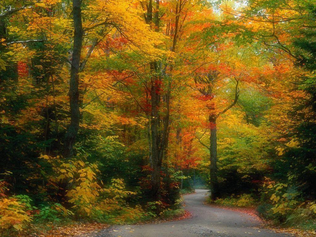 Beautiful Fall Scenery HD Wallpapers