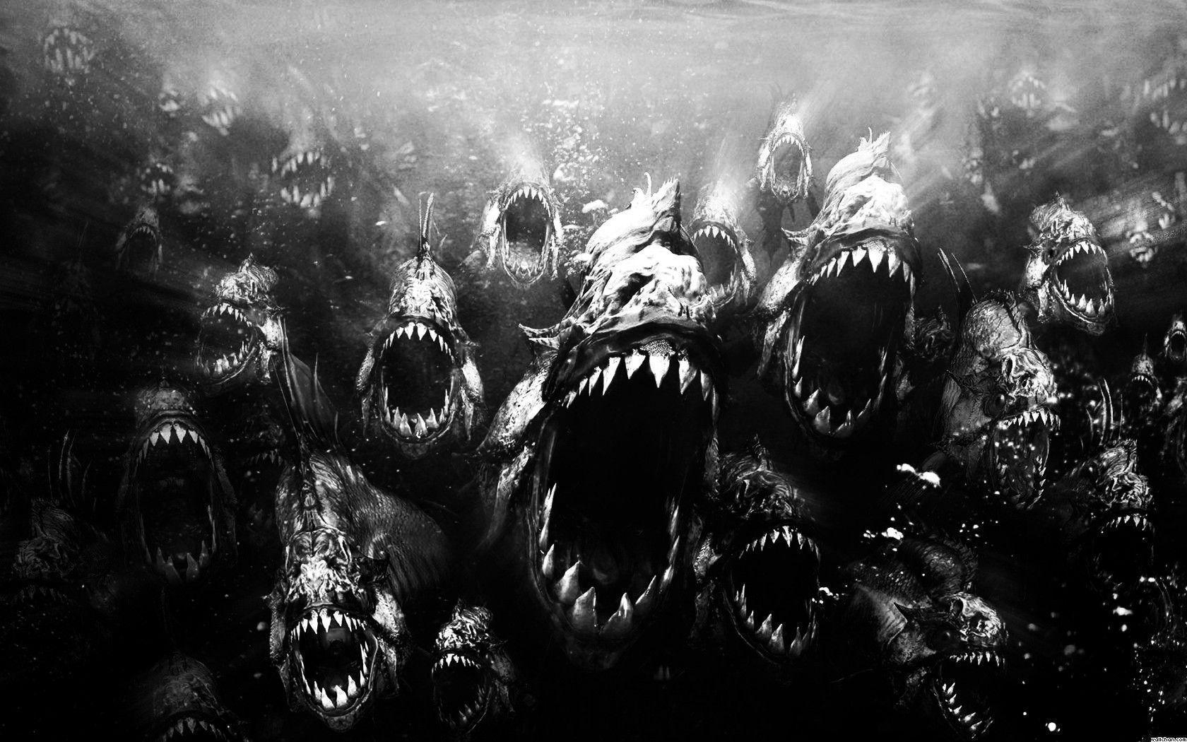 scary piranha piranhas swarm wallpaper