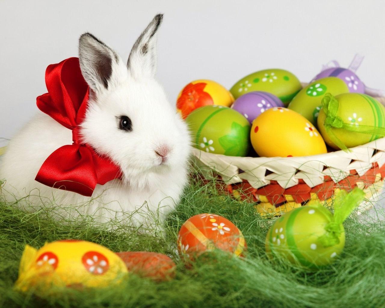 Cute Easter Bunny Wallpaper. Wallpaper HD. HD Desktop