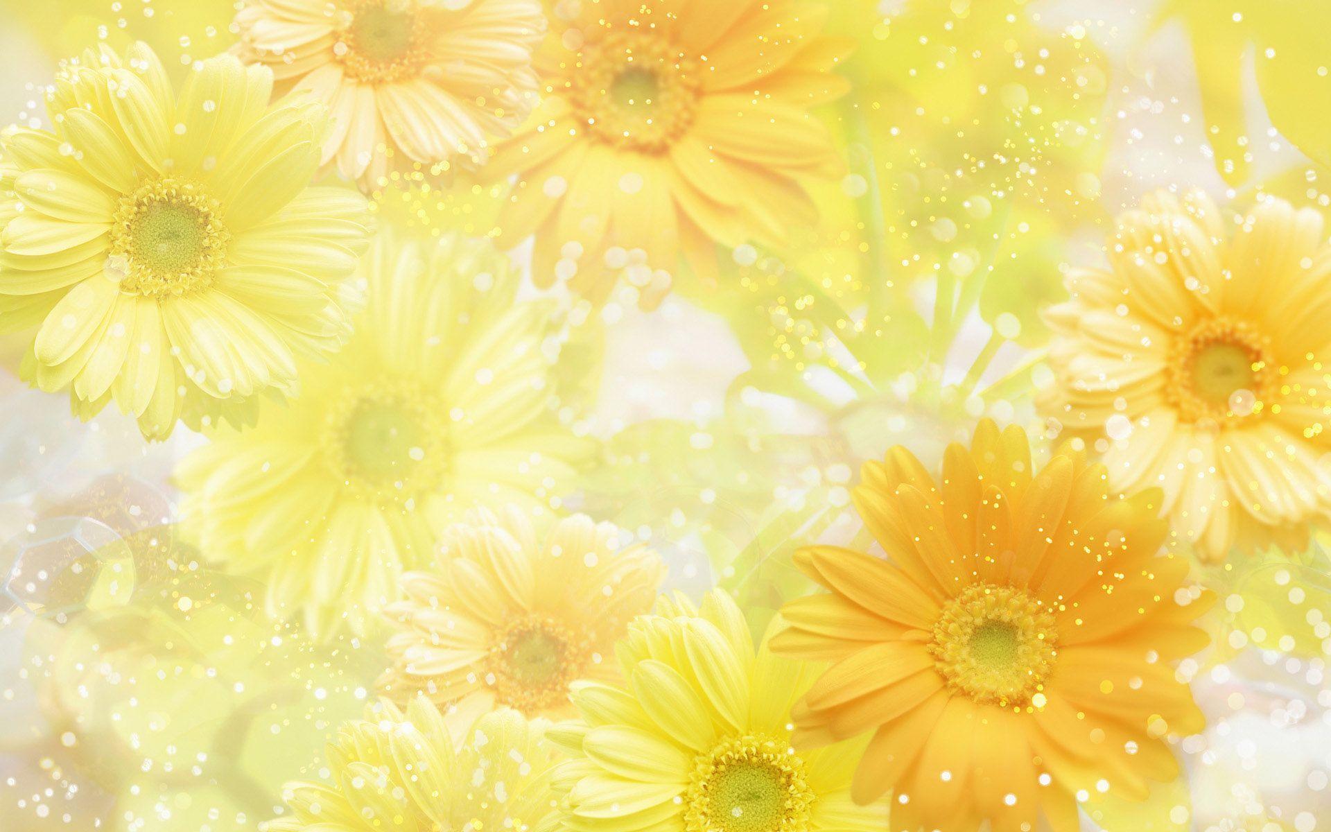 Apple Imac Flower Fairies Of The Spring Mac Background Nature