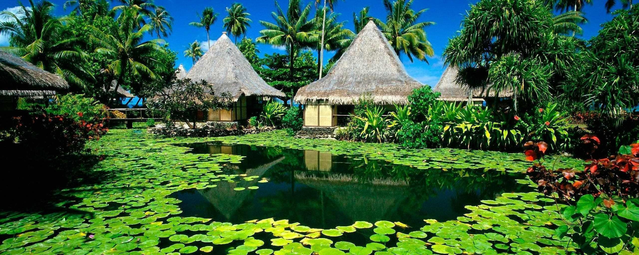 Related Picture Nature Island Desktop Wallpaper 1280 X 1024