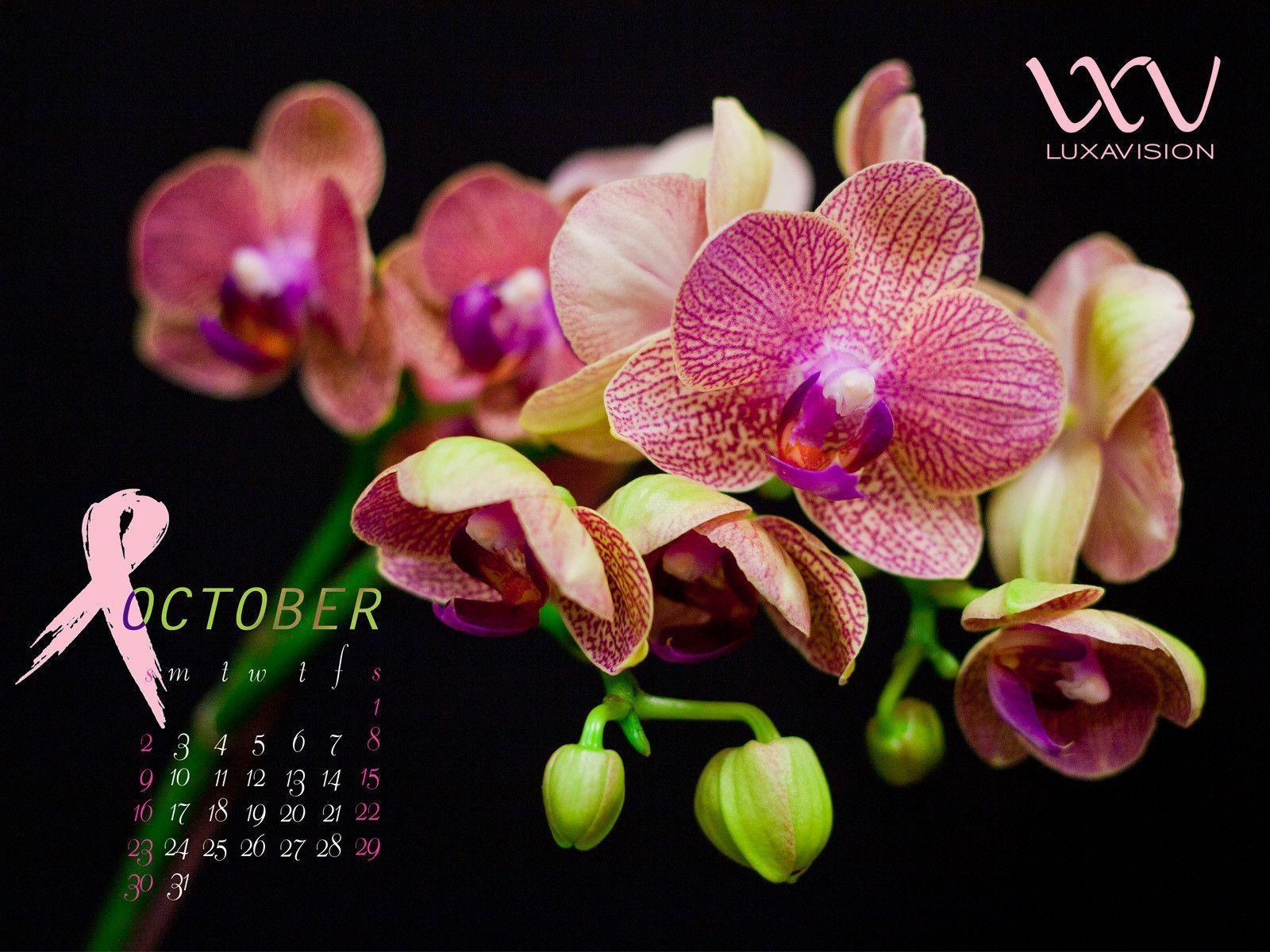 Free Desktop Calendar Wallpaper for October 2011. Breast Cancer