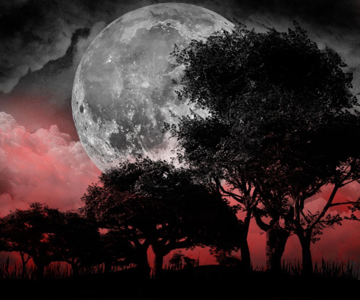 Blood Moon Landscape by Drace