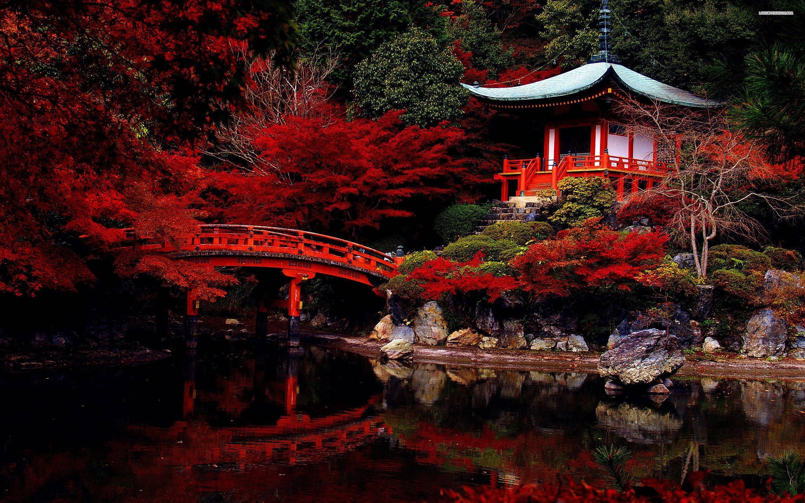 Autumn in the japanese garden wallpapers #