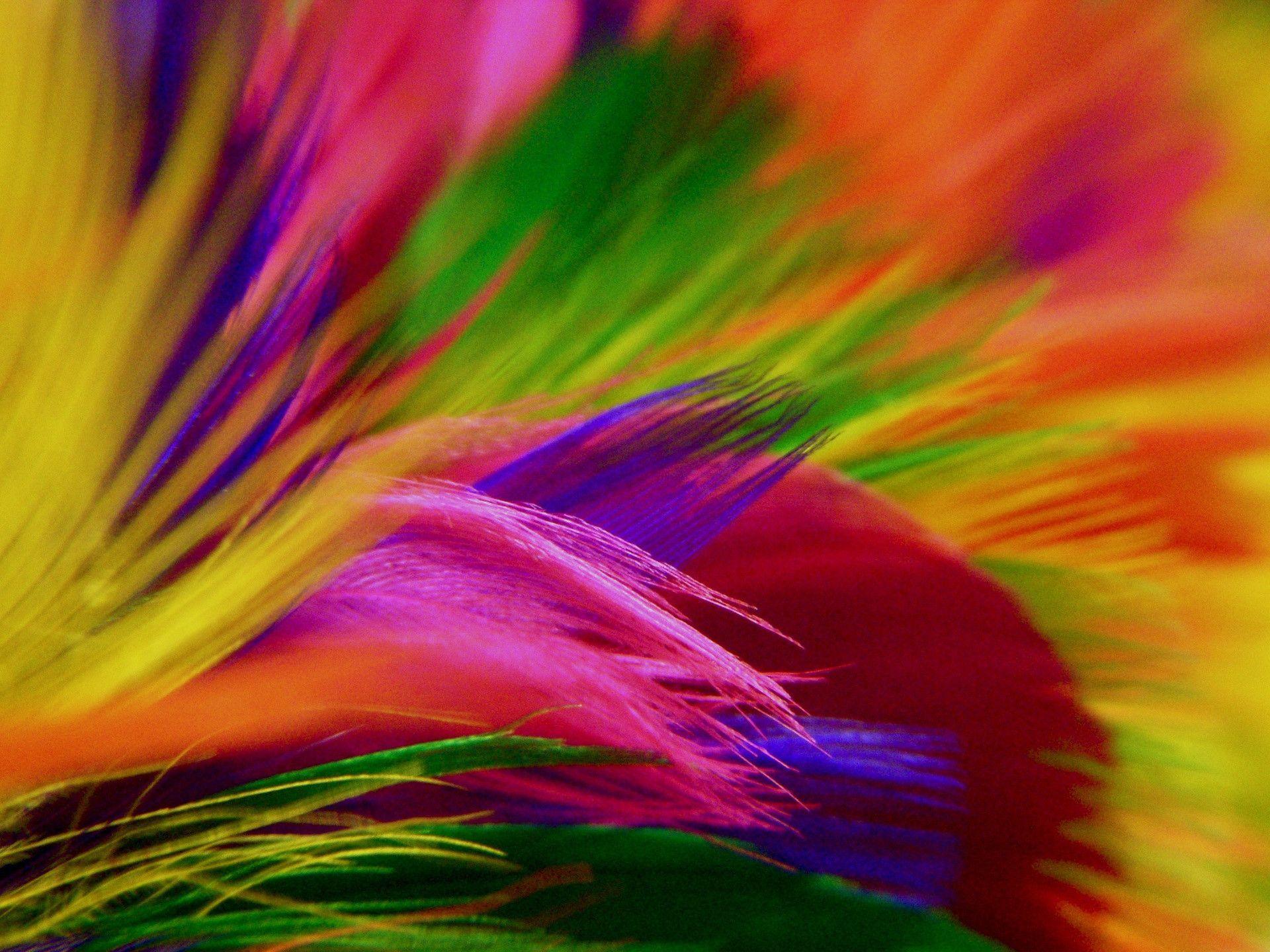 Colorful HD Backgrounds Wallpaper Cave