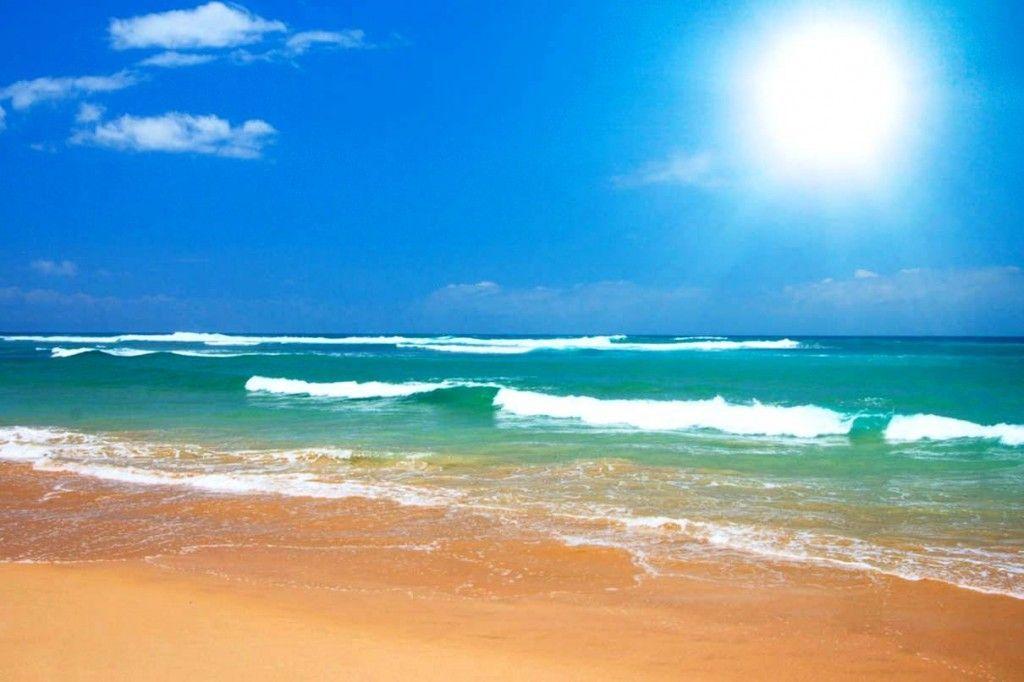 Sunny Beach Background Image & Picture