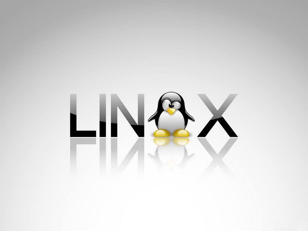 Tux Linux Background Background and Wallpaper