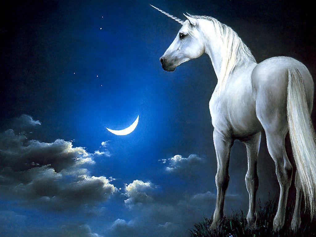 WhisperingWorlds Image Gallery - Unicorn Background - unicornbg9