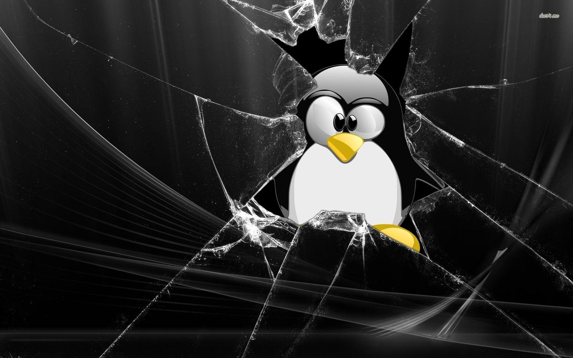 Tux through broken window wallpaper wallpaper - #