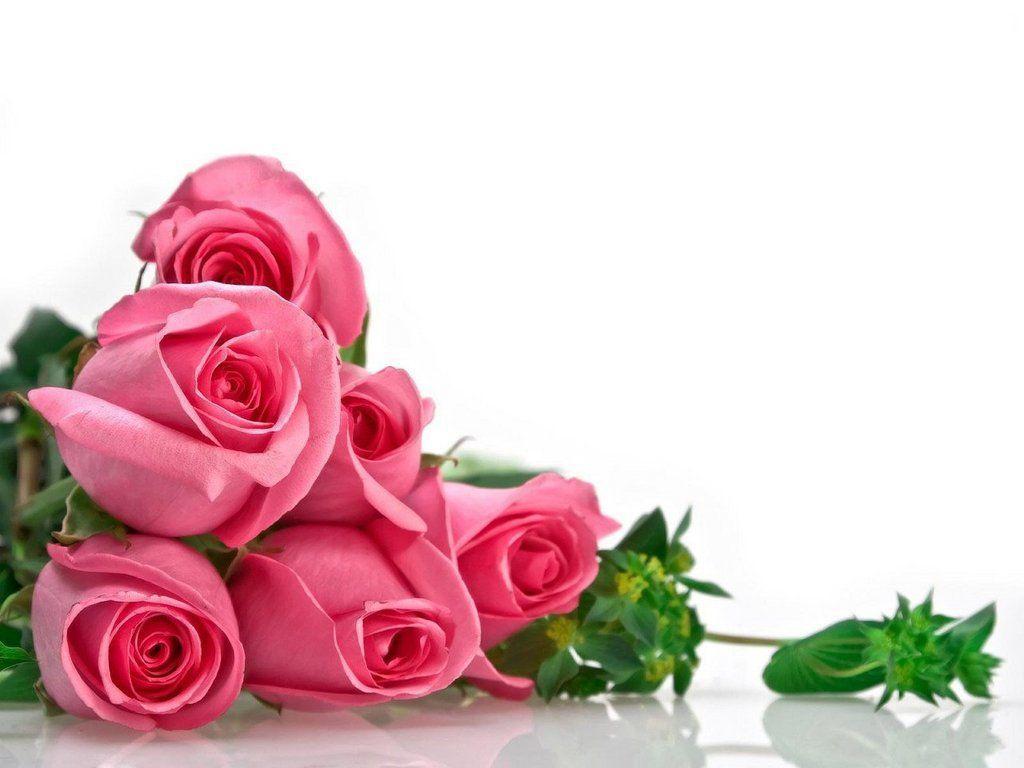 Pink Roses Bouquet With Diamonds Background 1 HD Wallpaper