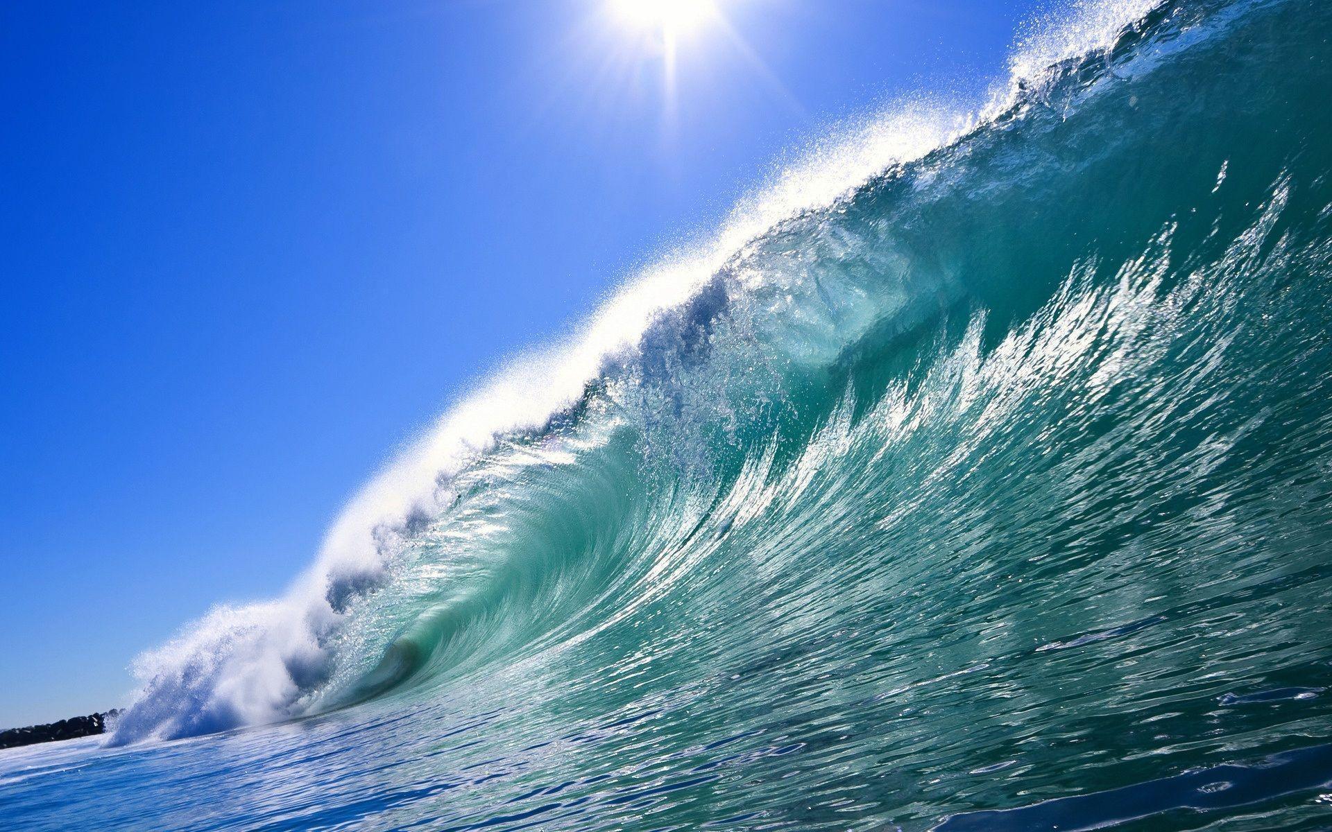 Wave Surfer s Dream 1920x1200 download Desktop Wallpaper 1920x1200