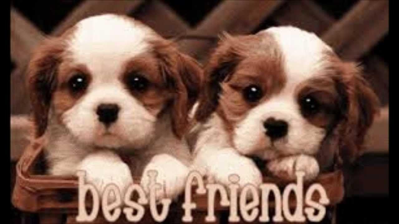 Best Friends Forever Wallpapers - Wallpaper Cave