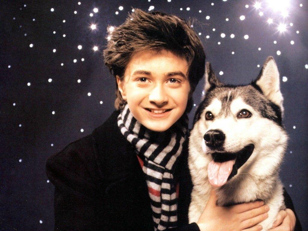 daniel radcliffe wallpaper