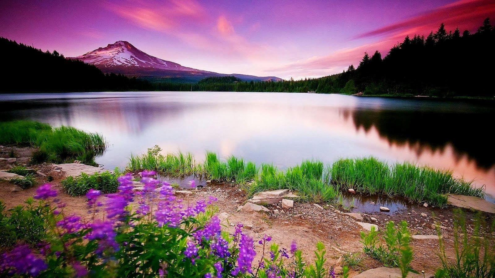 Nature HD Wallpapers  Top 35 Best HD Nature Backgrounds Download