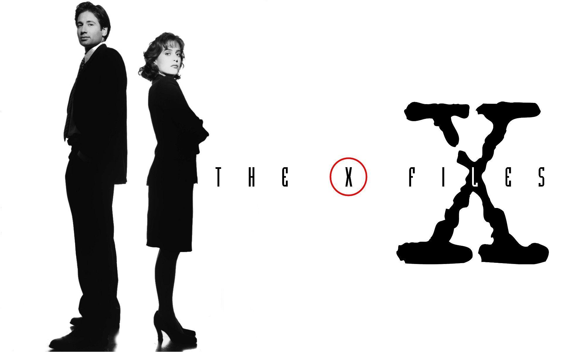 Download Wallpaper The X Files, The X Files, Series, Fox Mulder