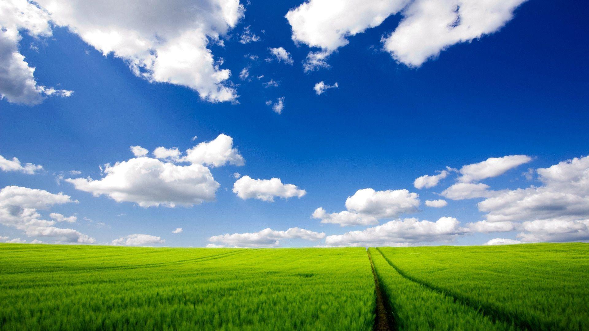 hd wallpaper windows xp