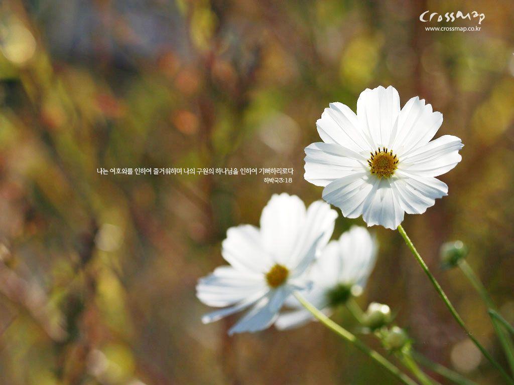 Christian Wallpaper Bible Verses 04wallp79