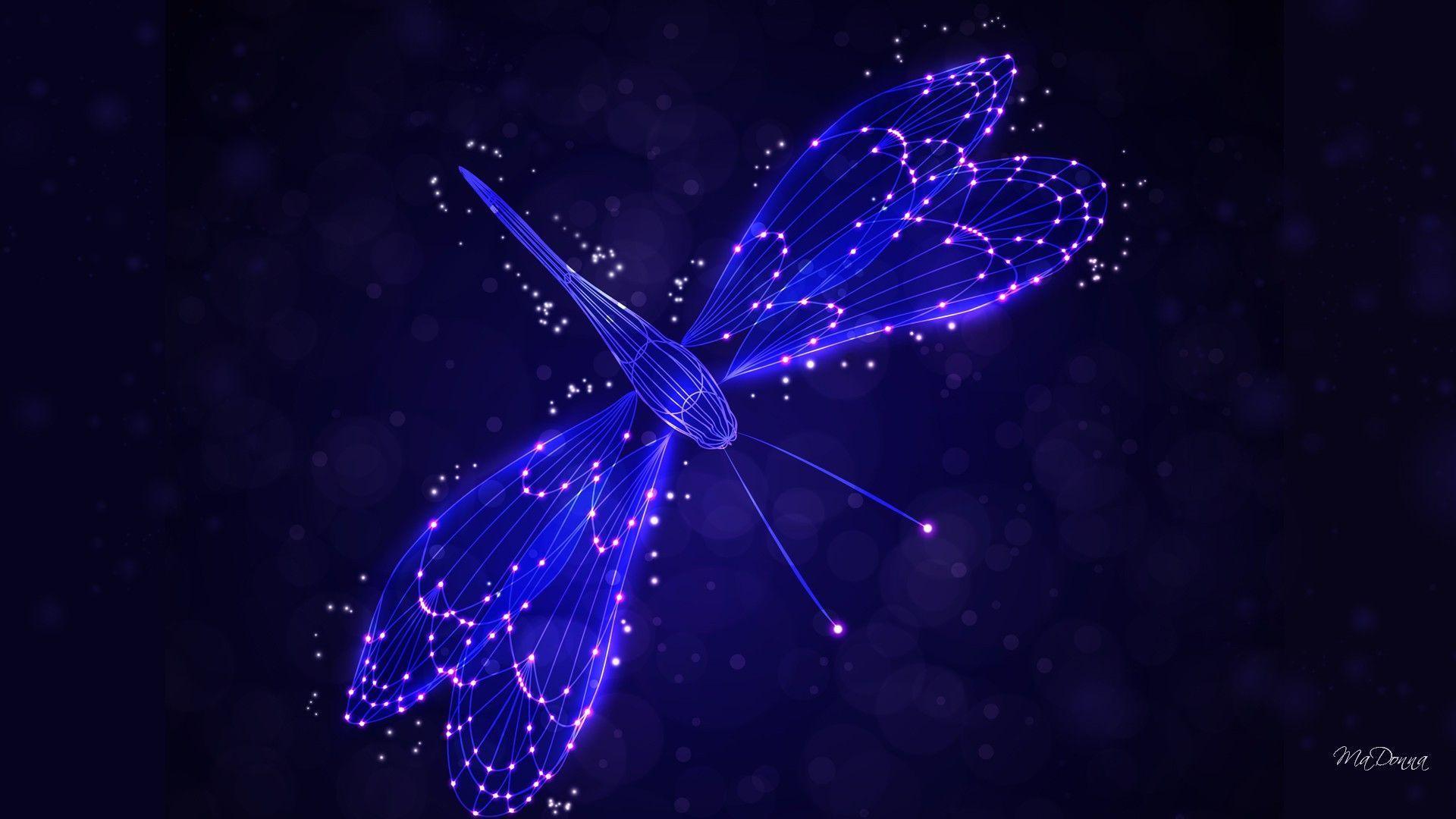 HD Dragonfly Lights Wallpaper