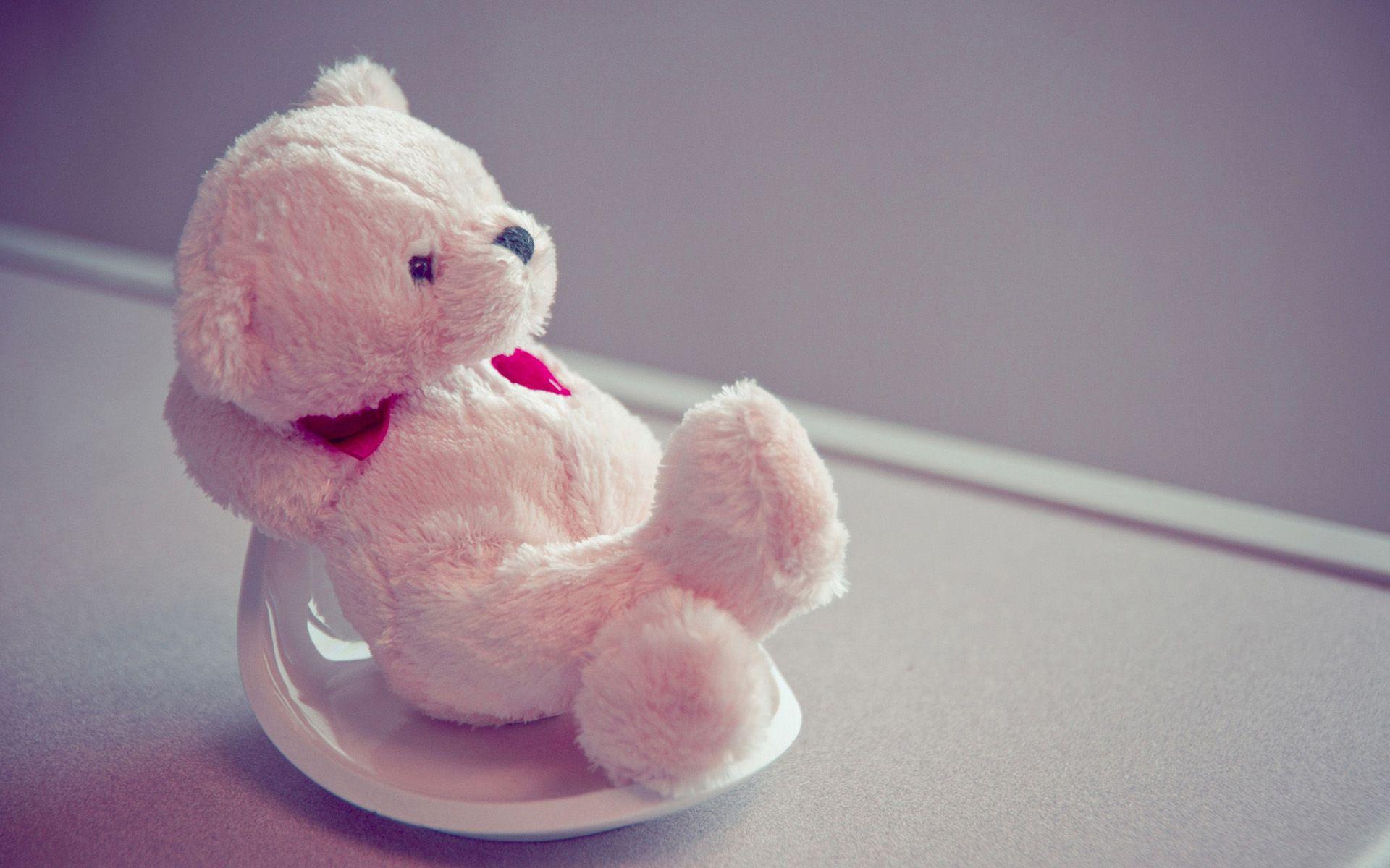 Teddy Bear Lovers image teddy HD wallpaper and background photo