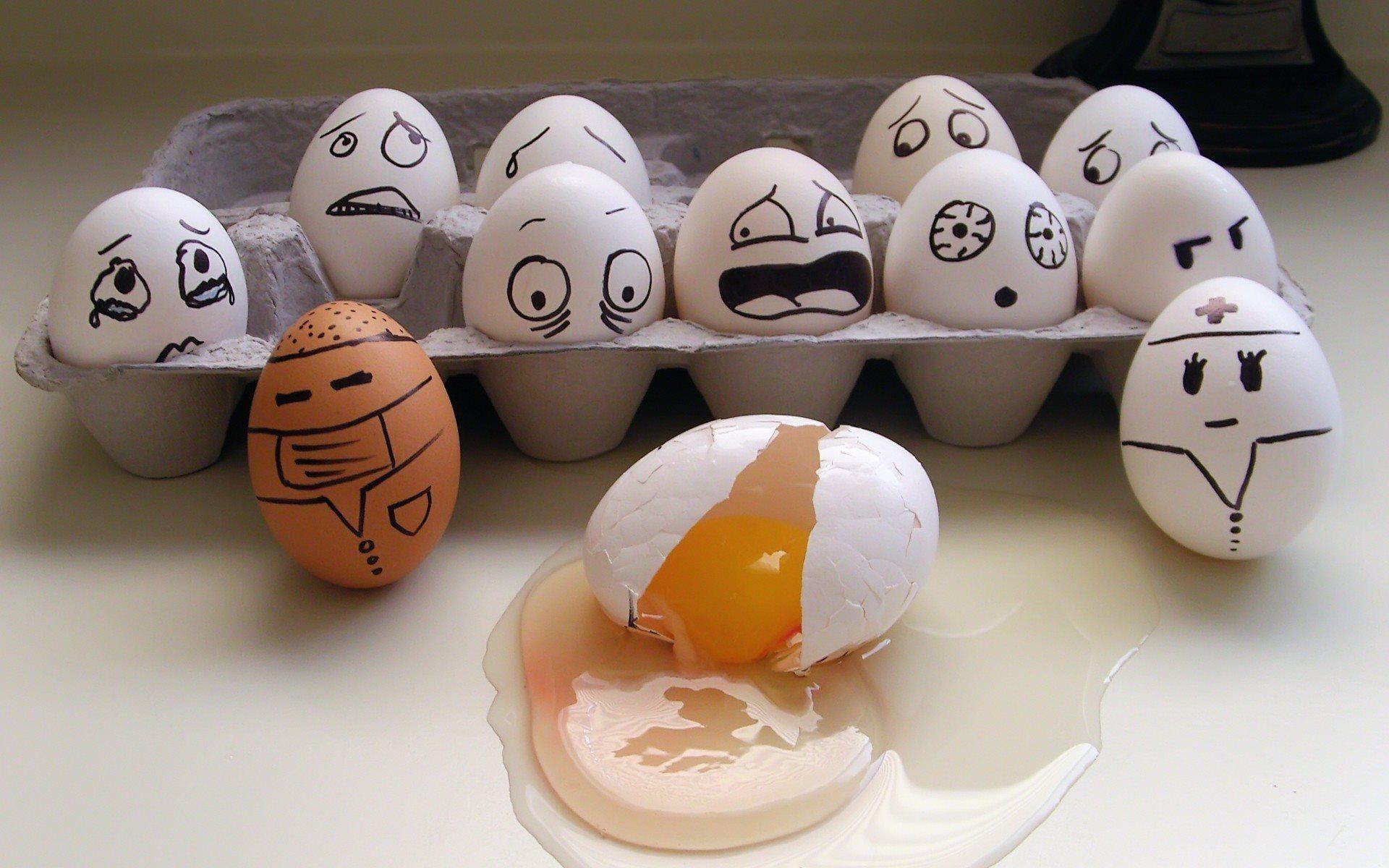 Crazy Eggs Funny Wallpaper HD