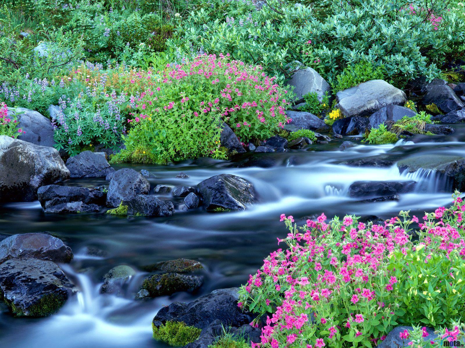 Beautiful Spring Nature Desktop Wallpaper