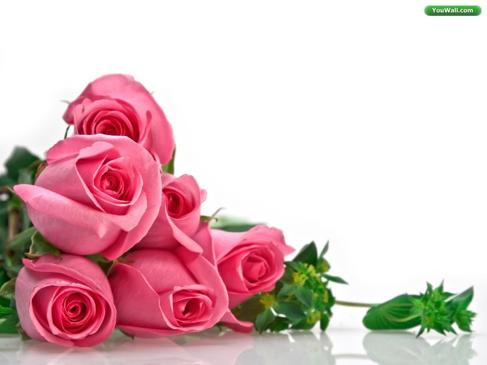 Wedding Flowers: Red Rose & White Rose Wallpaper for Desktop Background