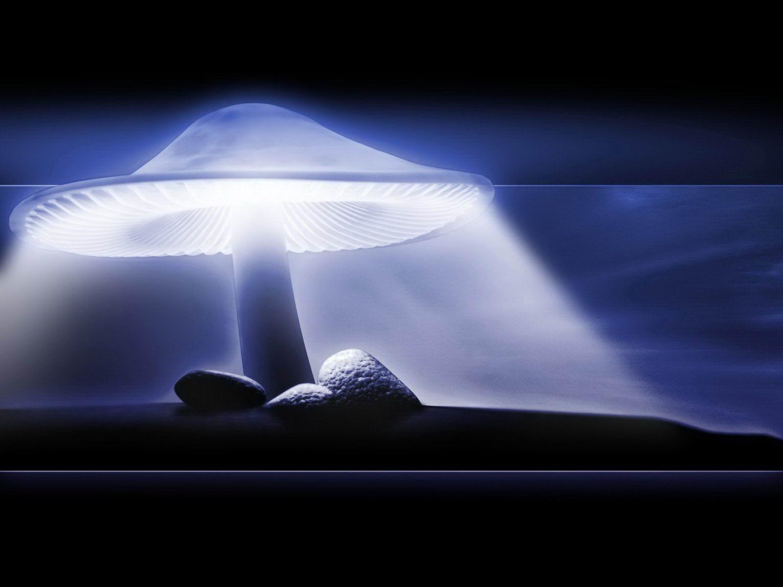 Neon 3D mushroom fantasy free desktop background wallpaper