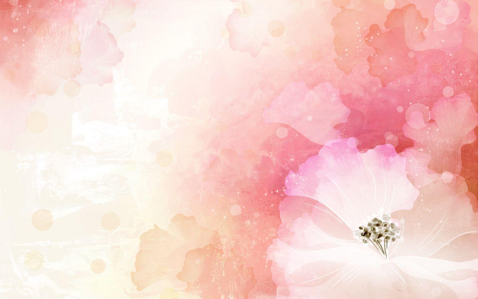 Flower Background Image 1850 HD Desktop Background
