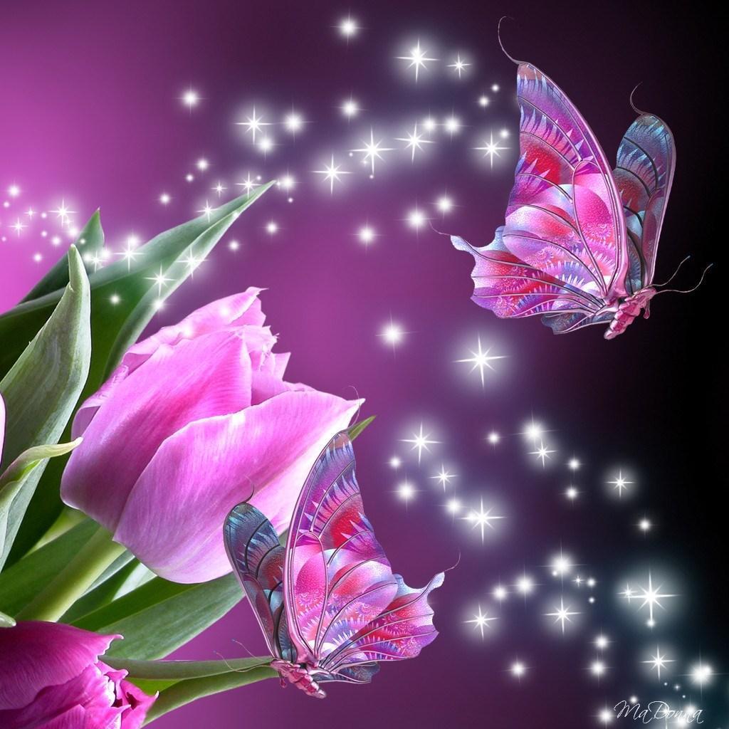 Download 3d Butterfly Wallpapers Wallpaper Cave