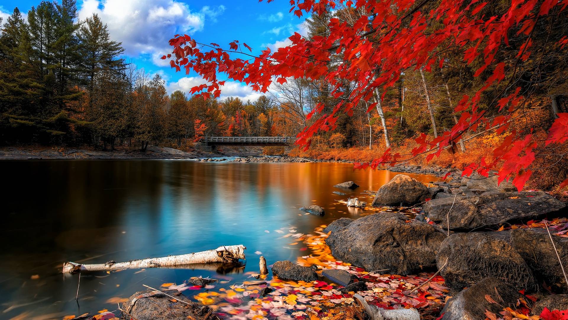 HD Wooden Bridge On A Beautiful Autumn River Wallpaper. Download