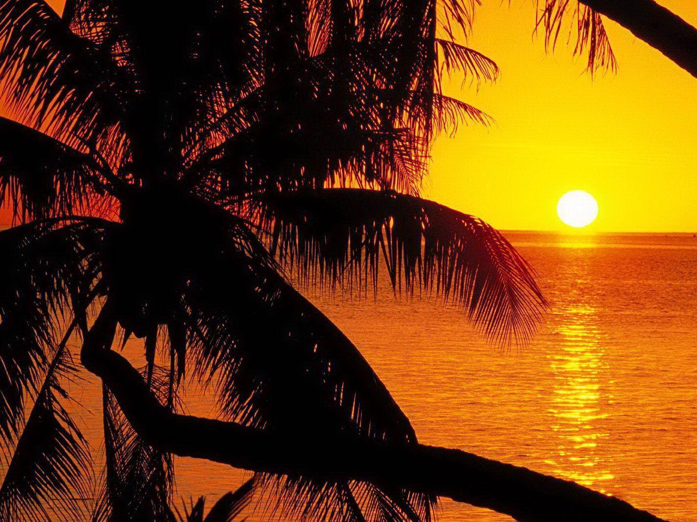 Polynesian sunset summer background free desktop background