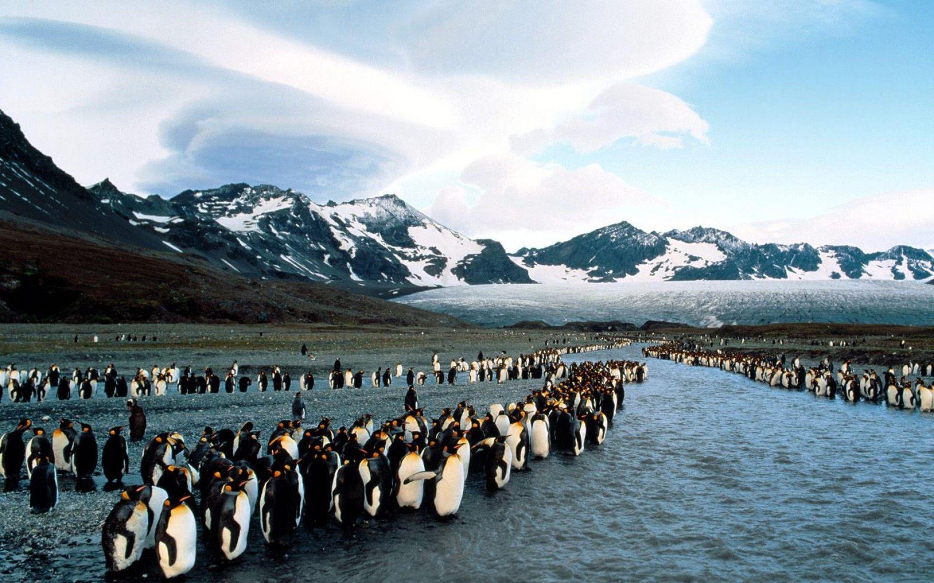 image for desktop background