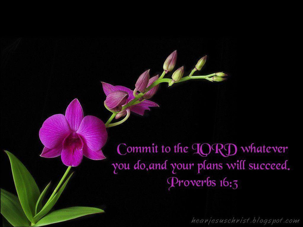 Download Christian Bible Verse Proverbs Wallpaper 1024x768. Full