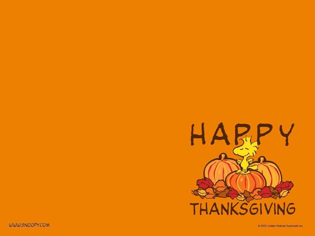 Snoopy Thanksgiving Pumpkin wallpaper