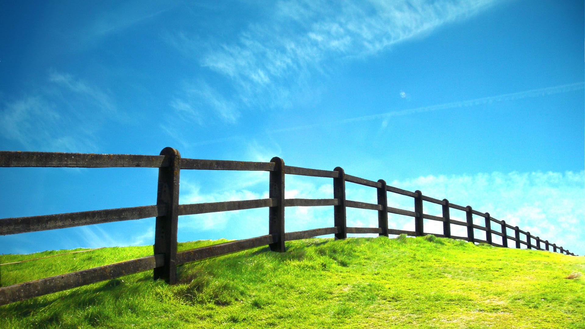 Hd Grassland And Fence Nature Scenery Background Widescreen and HD