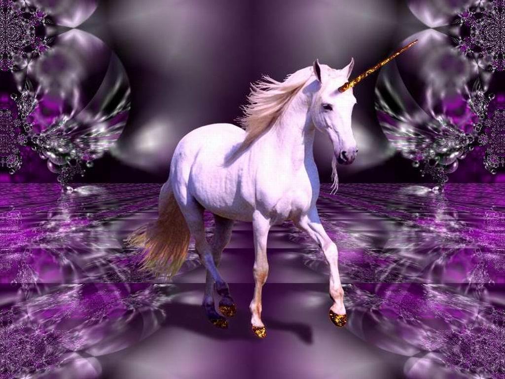 Real Unicorn Wallpaper Image & Picture