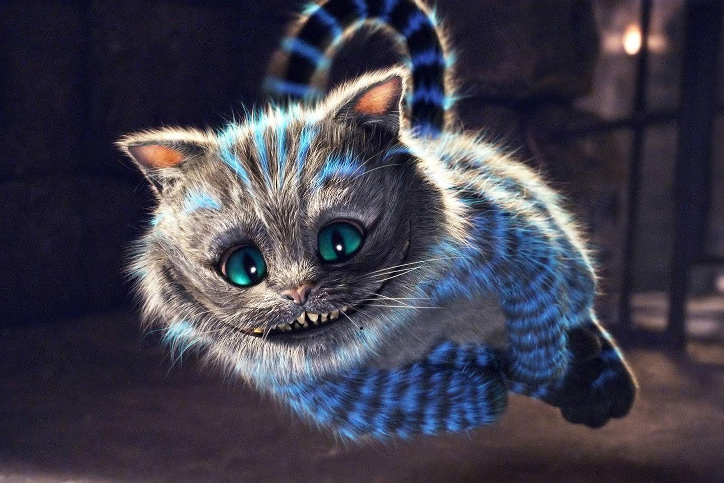 Download Cats Cheshire Cat HD N Background Wallpaper. Full HD
