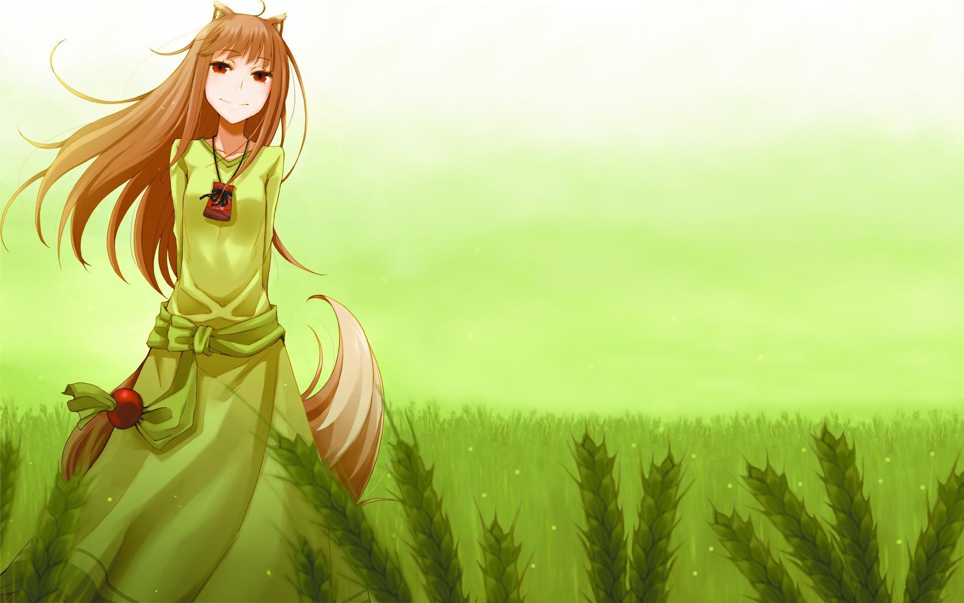 Holo Walking In The Grass Wallpaper