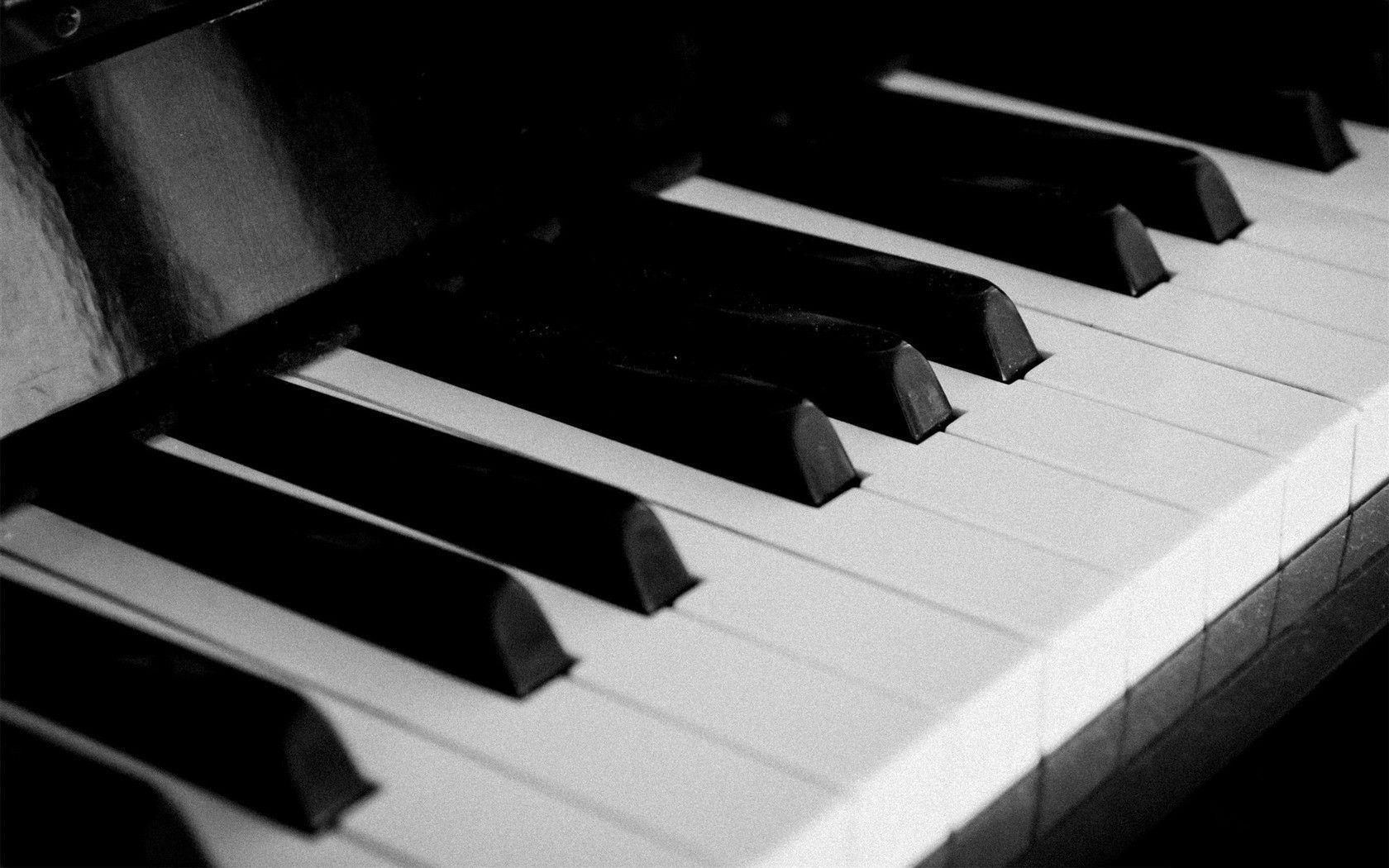 Piano Keys Music Fashion Desktop Wallpaper Wallpaper