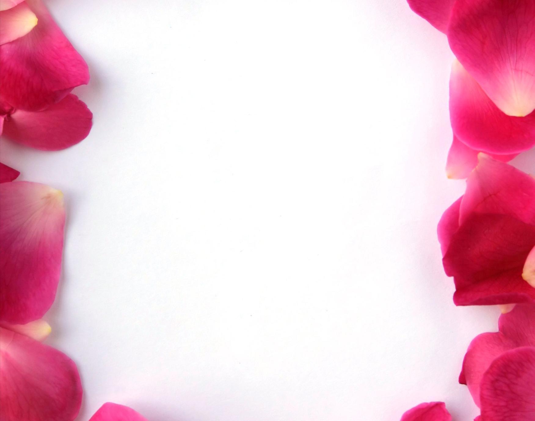 Rose Background 44 366375 High Definition Wallpaper. wallalay