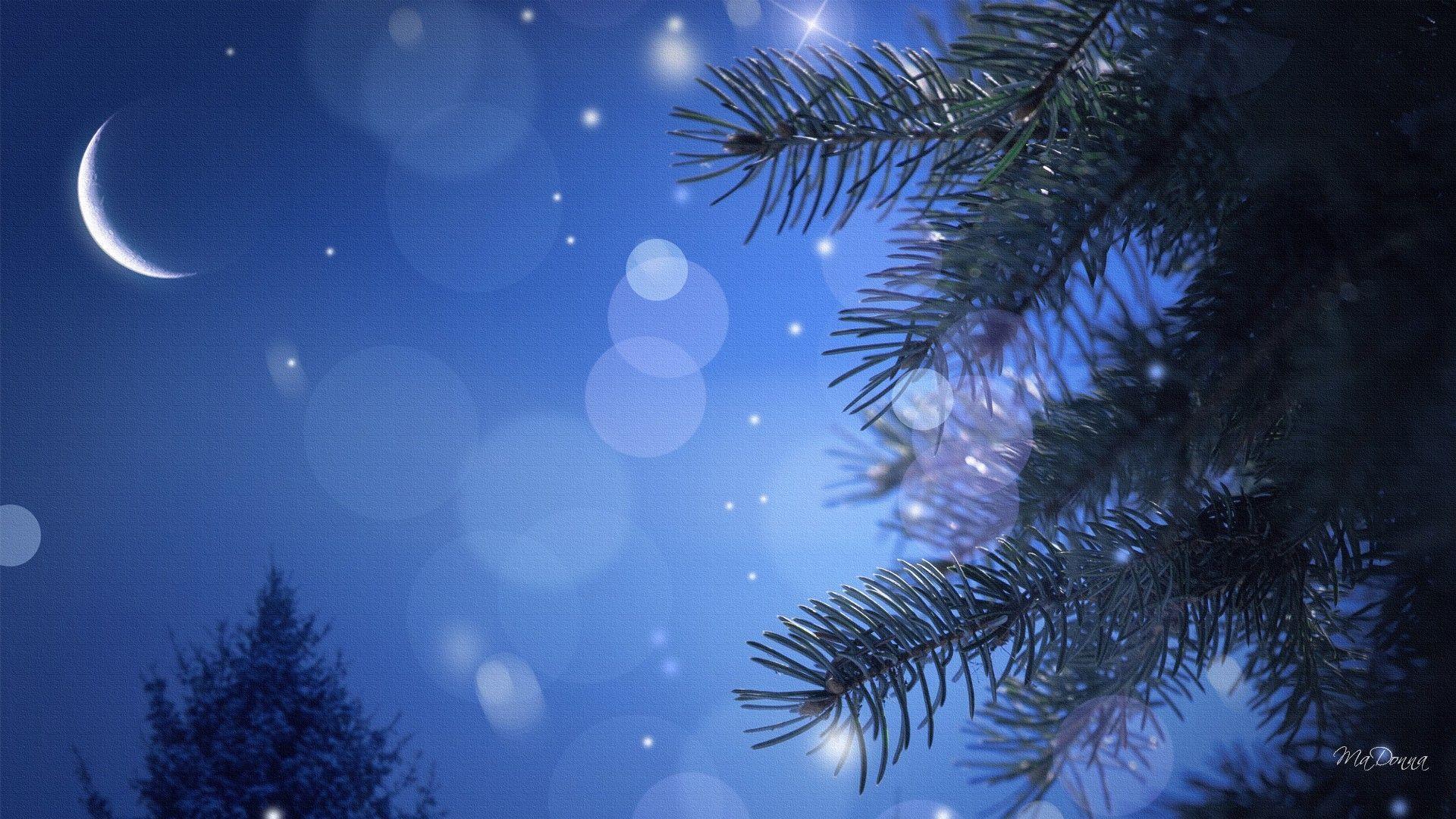 lovely winter night hd wallpapers