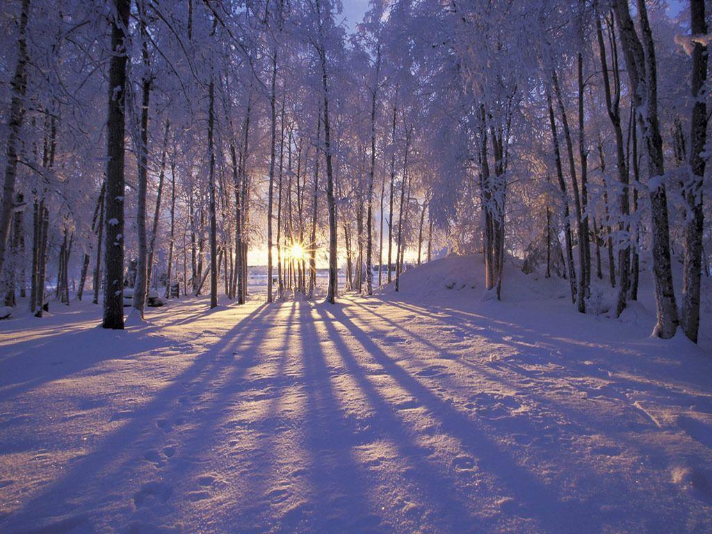 Free Winter Sunset In Alaska Nice Wallpaper Download Background